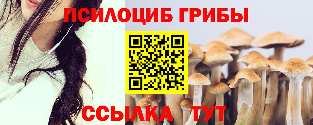 Александров  Псилоцибиновые грибы Magic Shrooms  Вход с VPN 